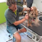 20200805_142830-Eraser