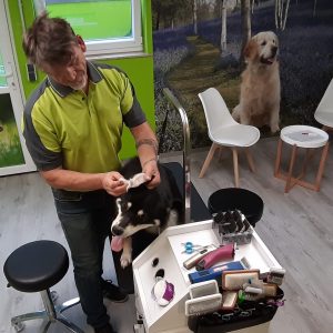 20200902_185650-Eraser