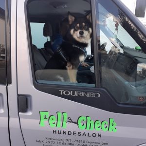 20220219_142540 (002)