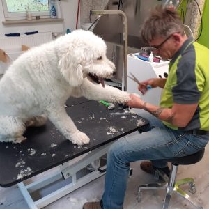 IMG-20200930-WA0000-Eraser